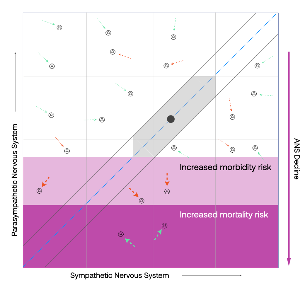 Clinical Dashboard for Homeostasis